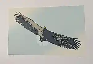 Clemens Zijlmans - Eagle kopen? Bied vanaf 60!