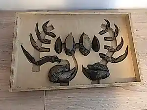 Krijn Giezen - Bestek voor het kraken en leegpeuteren van schaaldieren (8 personen), kopen? Bied vanaf 1250!
