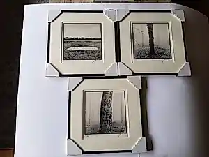 Ralph Janowski - 3 werken, van Ralph Janowski, Boom in de ochtend mist nieuw ingelijst kopen? Bied vanaf 100!