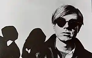 Nat Finkelstein - Andy Warhol portret kopen? Bied vanaf 75!
