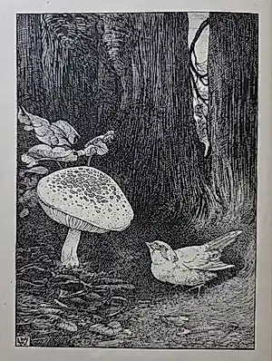 Ludwig Willem Reijmert Wenckebach - Diverse illustraties. kopen? Bied vanaf 20!