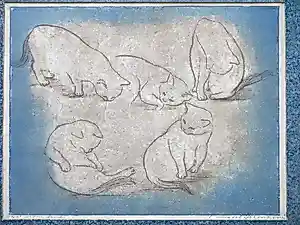 Christel Selmouni - Katten - Kleurets kopen? Bied vanaf 48!