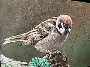 Hans Habraken - Musje op een dennentak kopen? Bied vanaf 350!