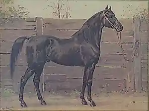 Otto Eerelman - HET TRAKEHNER PAARD / CHROMOLITHO / 54x69cm / KADER / 1898 kopen? Bied vanaf 65!