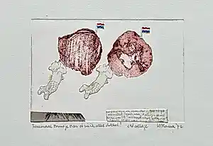 Wytze Monna - Tweemaal Bruintje beer of zie ik alles dubbel? kopen? Bied vanaf 25!