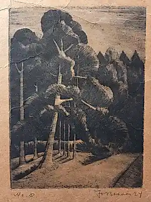 Jo Bezaan - Bomen. Bos. kopen? Bied vanaf 59!