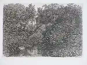 Dirk van Gelder - Waterstroom door bosgebied - Gravure kopen? Bied vanaf 50!
