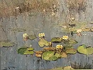 Jan Simon Knikker - Waterlelies verkocht voor € 100!