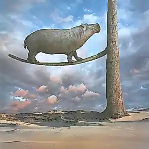 Dariusz Klimczak - Evenwicht (2012) kopen? Bied vanaf 85!
