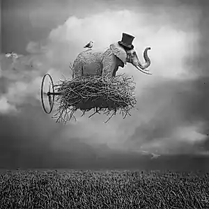 Beata Bieniak - 'Reizend Circus' (2011) kopen? Bied vanaf 85!