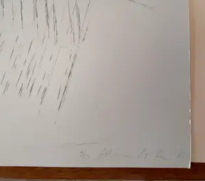 Adam Colton - Grote gesigneerde monochrome zeefdruk uit 1985 - 16/40 kopen? Bied vanaf 60!