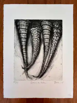 Devorah Boxer - Mooie gesigneerde ets uit 2008 - 83/99 - "Queus de taton" kopen? Bied vanaf 50!