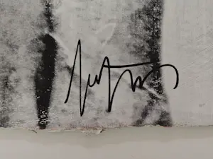 Robbert Fortgens - Monotype II kopen? Bied vanaf 150!