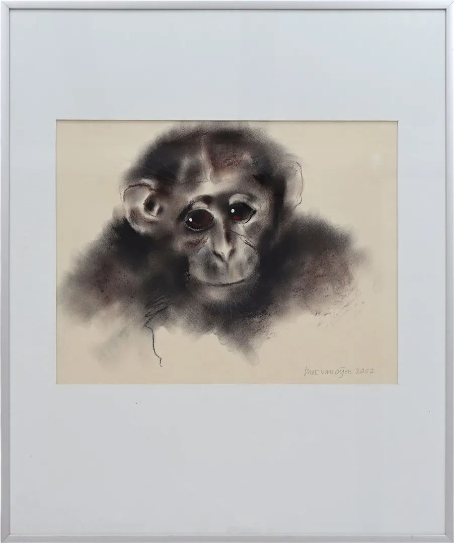Bart van Oijen - Chimpansee met bruine ogen kopen? Bied vanaf 60!