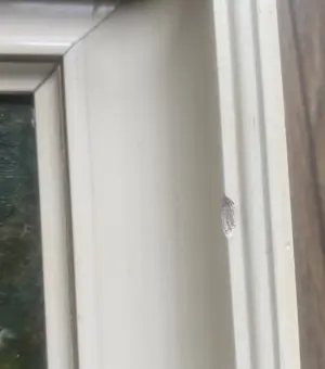 Jan Suhl - Boerderijtje kopen? Bied vanaf 100!