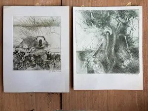 Onbekend - 2 etsen kopen? Bied vanaf 30!