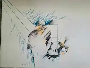 Pierre van Soest - niet bekend verkocht voor € 80!