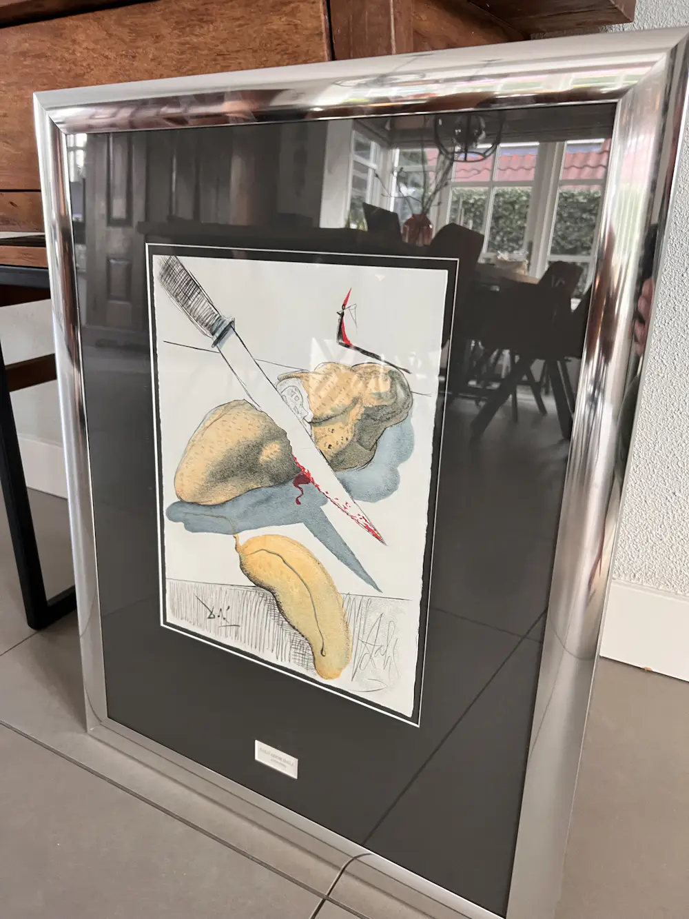 Diede-17
