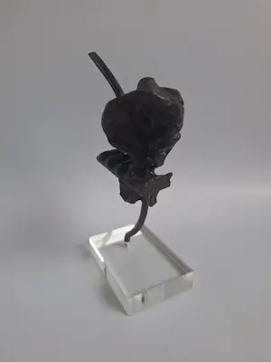 Brons (Onbekend) - Abstract bronzen beeld kopen? Bied vanaf 20!
