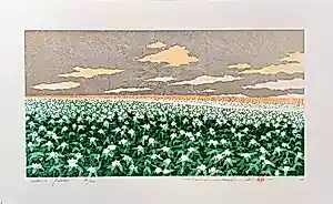 Hajime Namiki - "Hill-3 Potato" verkocht voor € 180!