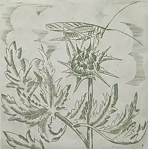 Jeanne Bieruma Oosting - Kleurenets: 'sprinkhaan' - 1936 kopen? Bied vanaf 299!