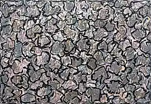 Jan Wolkers - handgesigneerde kleurenzeefdruk | 'Winterbeelden II' | 1995 kopen? Bied vanaf 175!