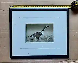 Douglas Forsythe - Canada Goose kopen? Bied vanaf 30!