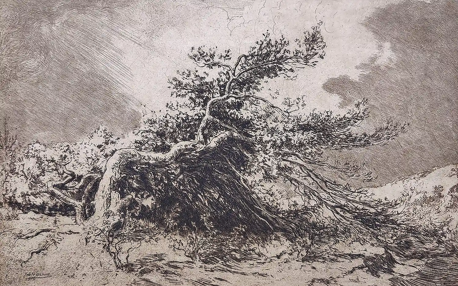 Ids Wiersma (1878-1965)