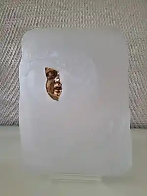 Isabel Echarri - Zeldzame Sculptuur: Isabel Echarri by Daum France – "Ophélie" kopen? Bied vanaf 660!