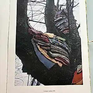 Berlinde De Bruyckere - Poten, poten zullen bomen worden (Oplage: 500 exemplaren) kopen? Bied vanaf 135!