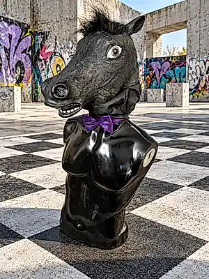 Elva Polyakova - Black horse - Chess series kopen? Bied vanaf 199!