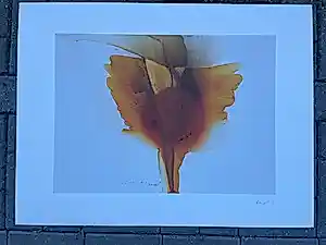 Otto Piene - Frühling/Herbst kopen? Bied vanaf 400!