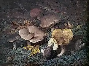 Tjieke Roelofs-Bleckmann - "Paddestoelen". kopen? Bied vanaf 225!