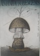 Alois Janak - AMANITA RUBESCENS, Farbradierung von 1979, e.a. handsign. verkocht voor € 70!
