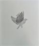 Kiki Smith - 'Bird', 1998, Lithographie und Collage, signiert und datiert verkocht voor € 455!