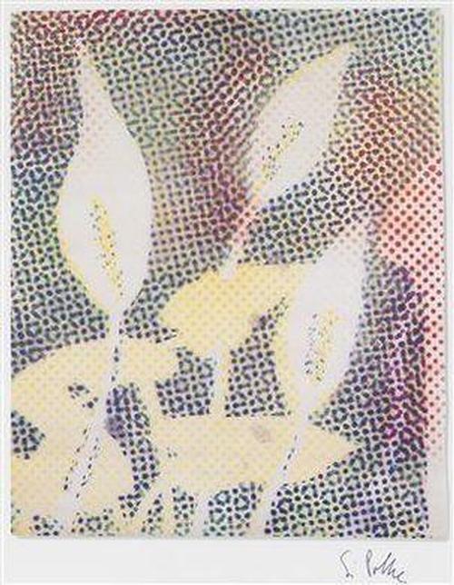 Sigmar Polke - Calla. FO 1996 Handsigniert verkocht voor € 1180!