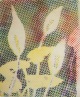 Sigmar Polke - HANDSIGNIERT - SELTENES ORIGINALPLAKAT 1996 - CALLA verkocht voor € 400!