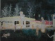 sluik
