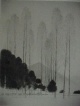 Gunnar Norrman (1912-2005)