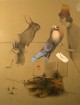 artistproof