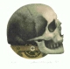 Friedrich Meckseper - Medizin (Schädel) signiert ea verkocht voor € 195!