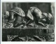 Albert Renger - Patzsch - ORIGINAL ALBERT RENGER-PATZSCH FOTOGRAFIE - Chorgestühl von Kappenberg Bild 35 kopen? Bied vanaf 75!