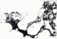 Herwig Zens - O.T., Lithografie, handsigniert kopen? Bied vanaf 35!