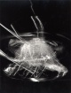 Laszlo Moholy-Nagy - PLEXIGLAS-MOBILE IN BEWEGUNG - Chicago 1943 kopen? Bied vanaf 119!