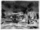 Hans Purrmann - Radierung : Landschaft verkocht voor € 210!