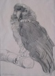 Hilde Boklen (1897-1987)