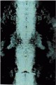 Sigmar Polke - Spiegelung 1 verkocht voor € 590!