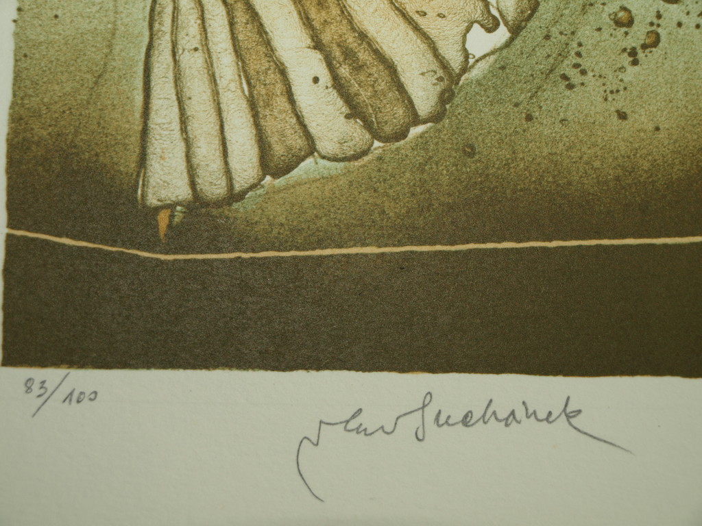 Vladimír Suchánek (1933) : Litho – Koorddanser – Gesigneerd & ingelijst - 2012  kopen? Bied vanaf 40!