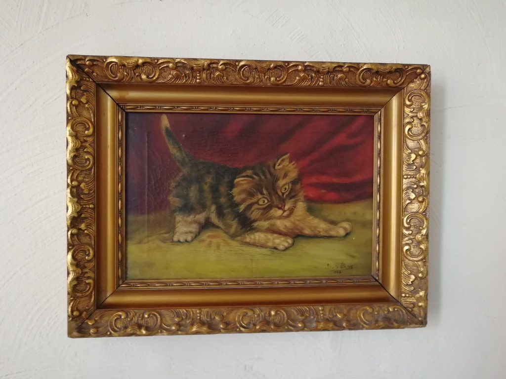 onbekend kunstenaar - olieverf op doek - speels poesje kopen? Bied vanaf 1!