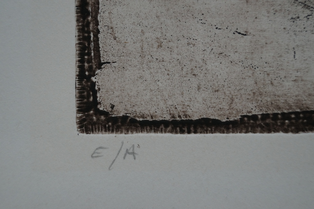 Heleen Wolbert -gesigneerde ets aquatint  kopen? Bied vanaf 12!